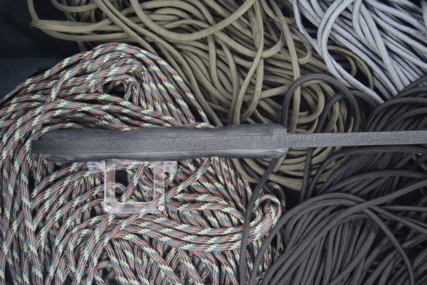BusseFFBM_BG10_Spine.jpg