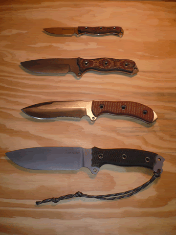 Busse-Family-08.gif