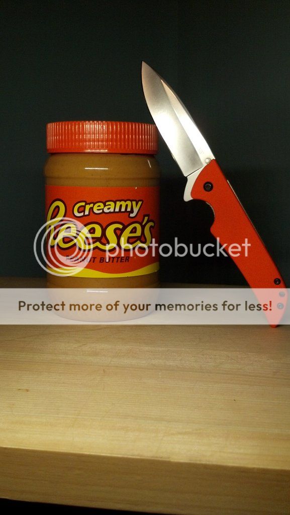 photobucket-5482-1359775552117_zps802bc596.jpg