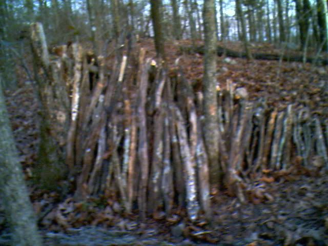 IMG00954.jpg