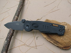 2512453702_c363ac605b_m.jpg