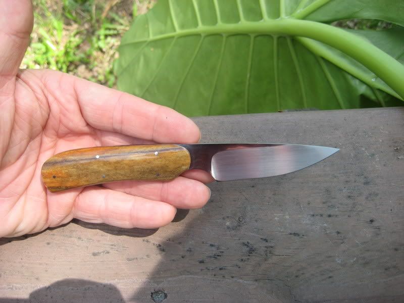 arnobernard003.jpg