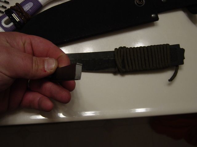 dsc03520ym1.jpg