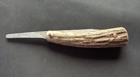 mooseantler2.jpg