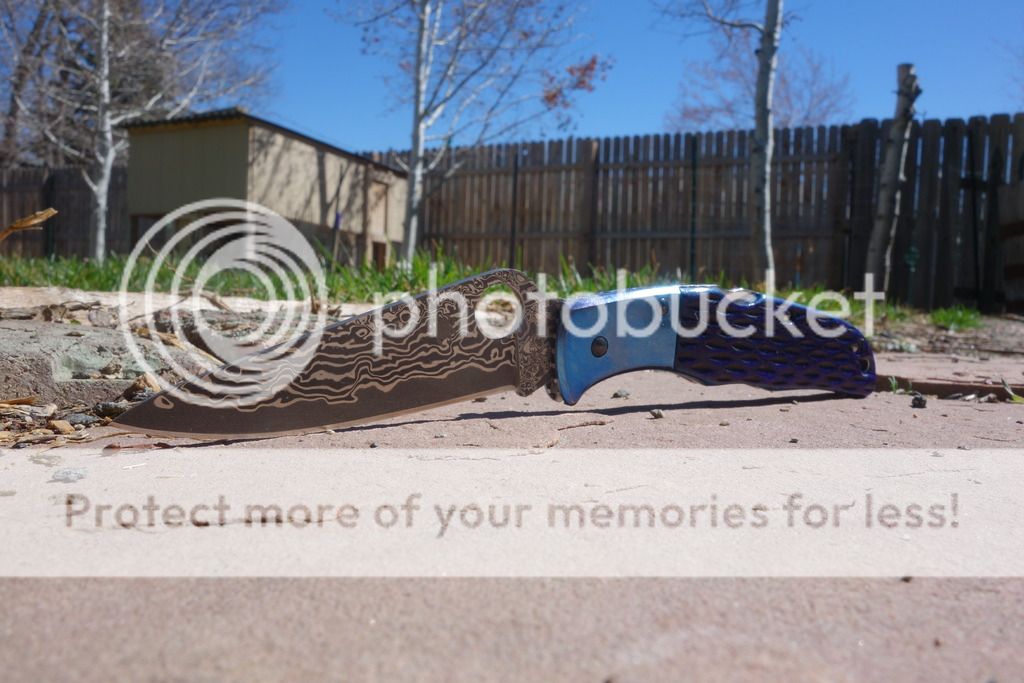 DSC00896_zpslopkdljt.jpg