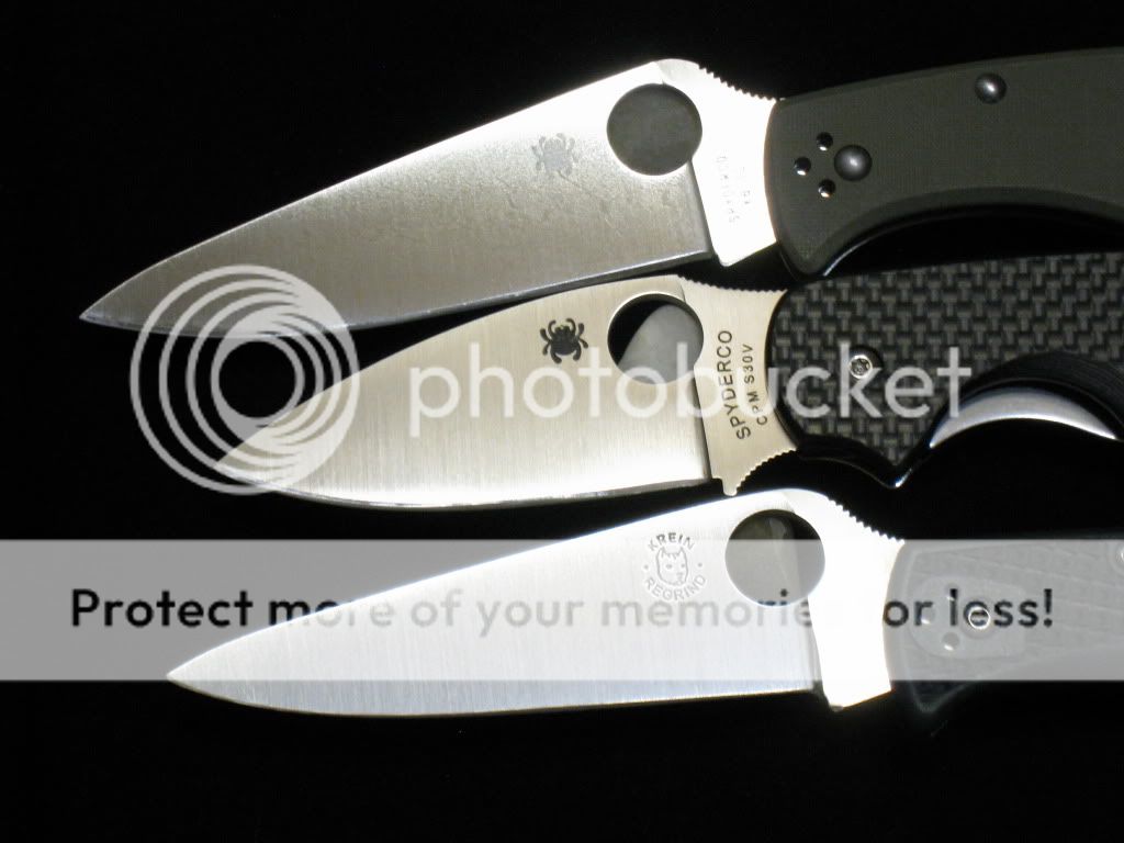 Sage036.jpg