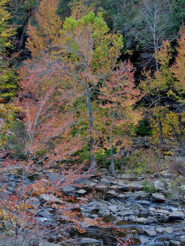 DSC_7150.jpg