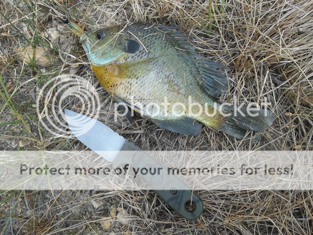 100_3029.jpg