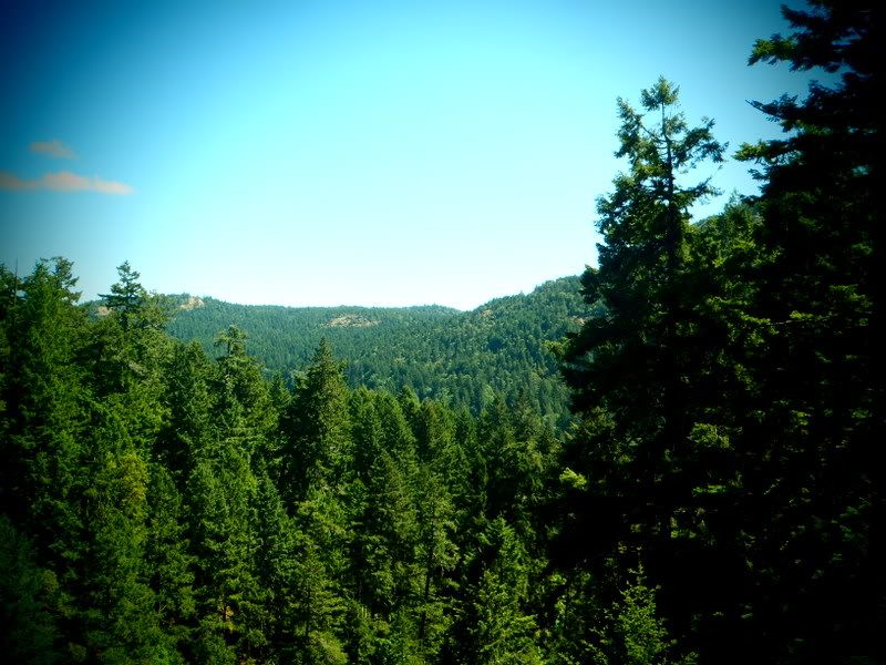 Goldstream2012008.jpg