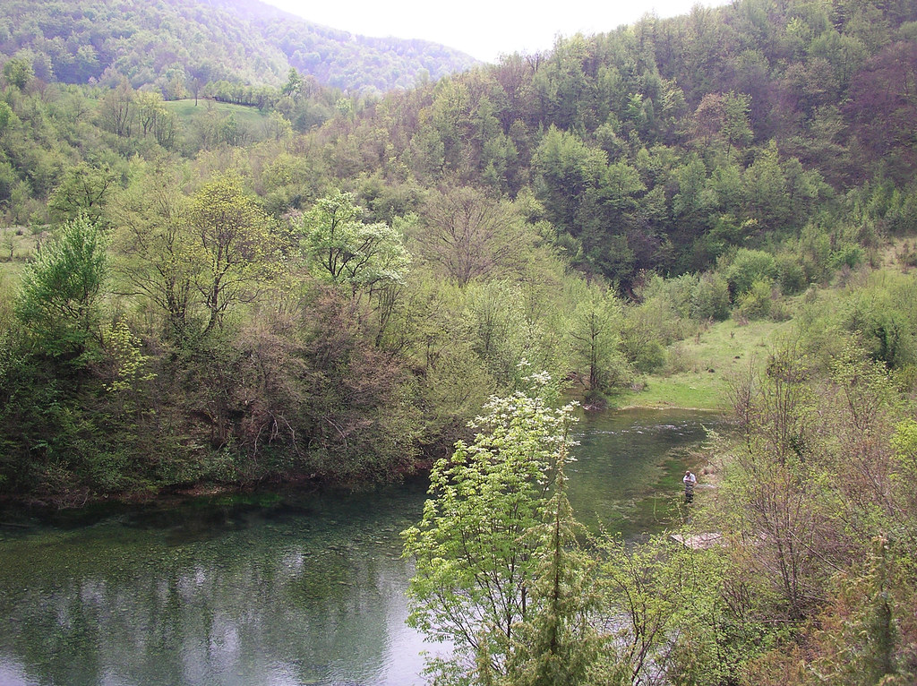 3482177307_2a6c069c5e_b.jpg