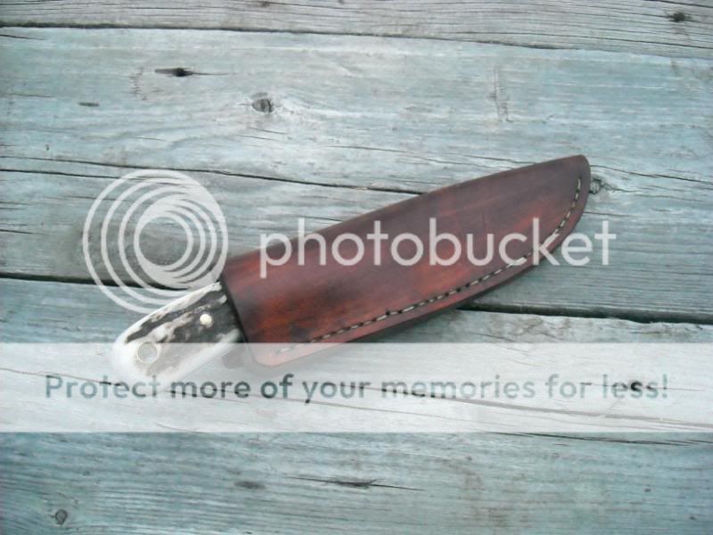 elk1084001.jpg