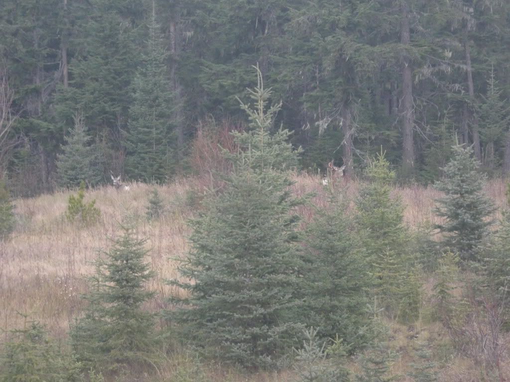 IMG_9380.jpg
