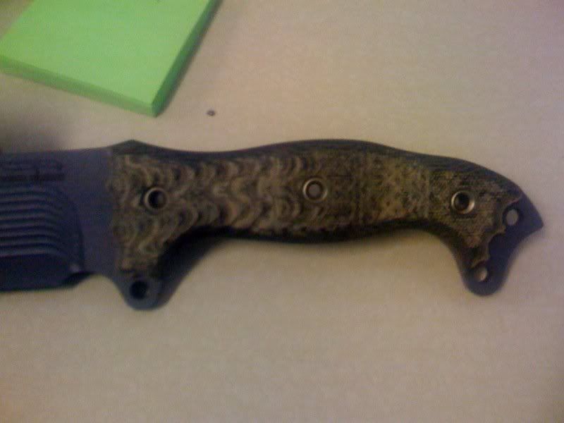 busse3.jpg