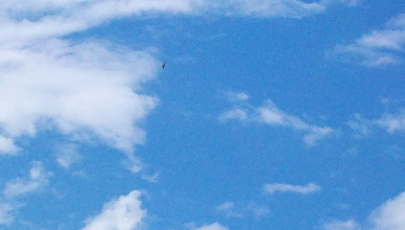 2011-09-10_13-42-41_708.jpg