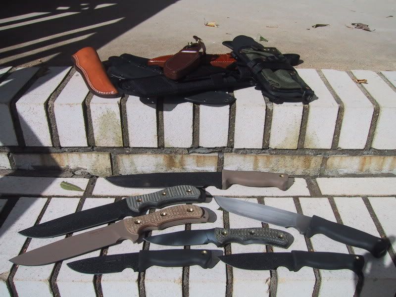 ratsheaths008.jpg