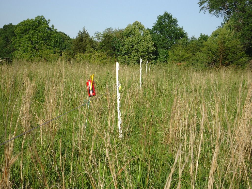 DSC01137_zpsunr2tzfd.jpg