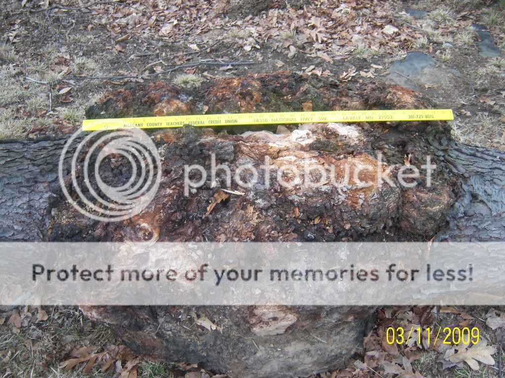bussestuff023.jpg