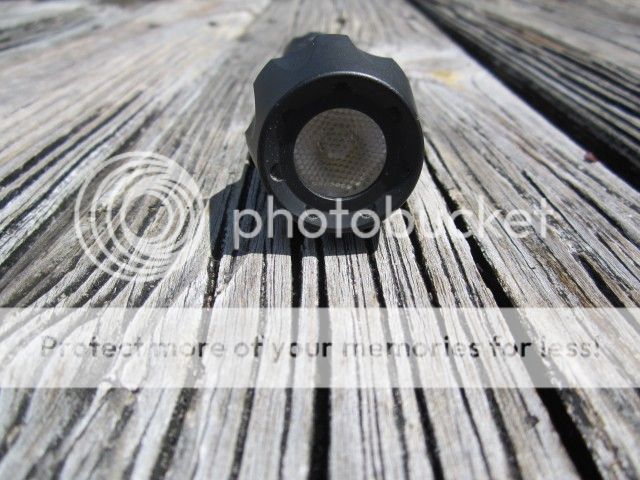 IMG_0231.jpg