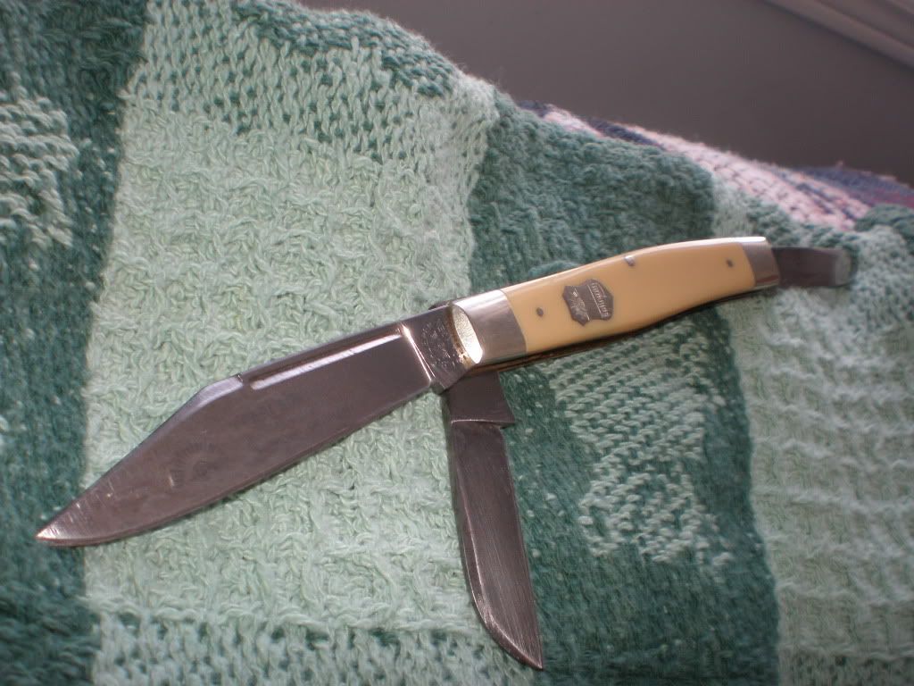 eyebrand002-2.jpg