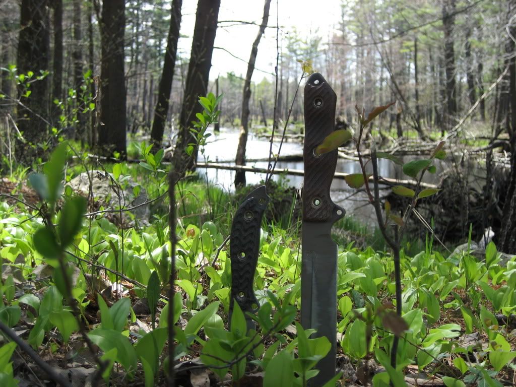 Picture017-3.jpg