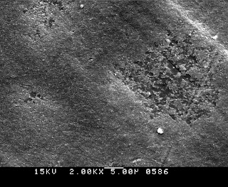 ks-4+CBN+586.jpg