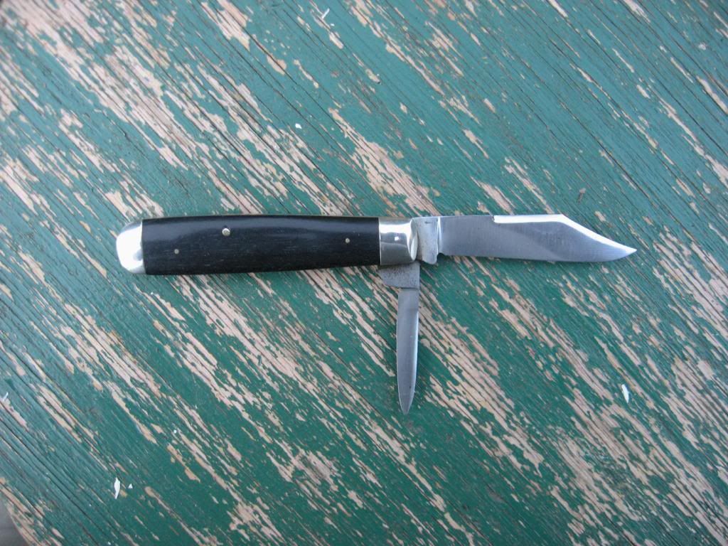 CattJack011.jpg