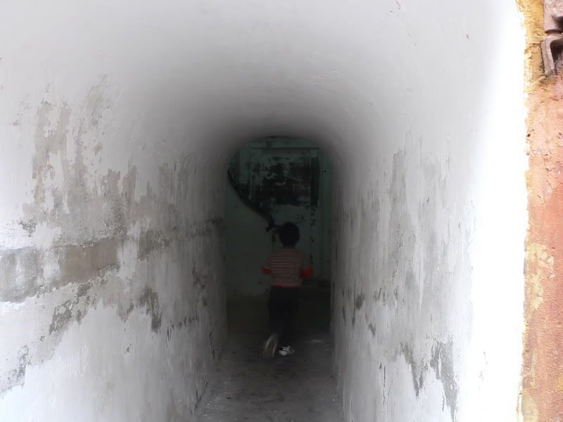 P1400598.jpg