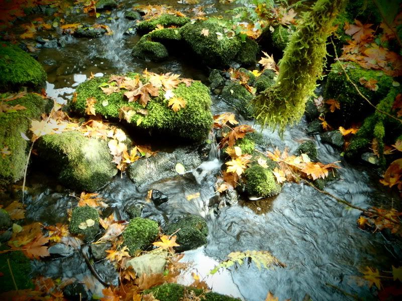 PB010017.jpg