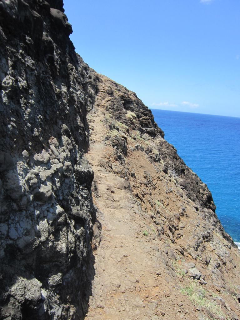 Kauai13087_zps8847f1c8.jpg