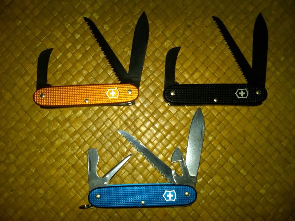 Sak3.jpg