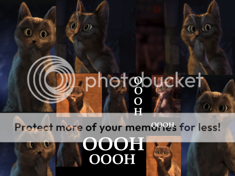 oooohcat1.png