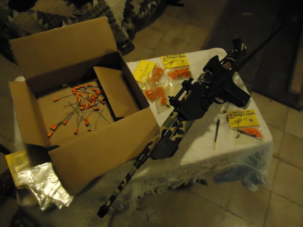 dartgun002.jpg