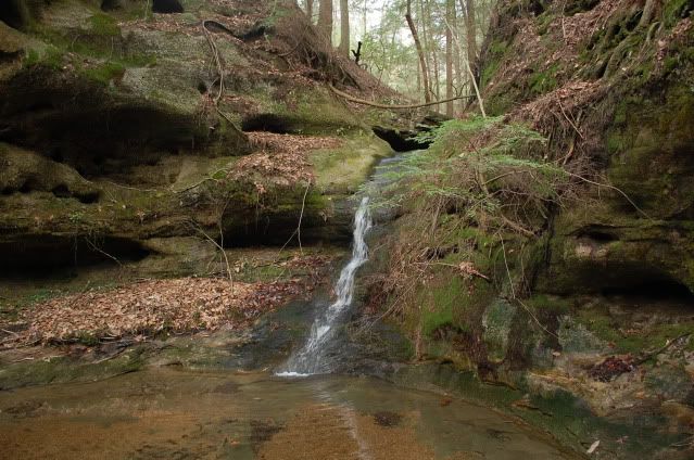 DSC_0162.jpg