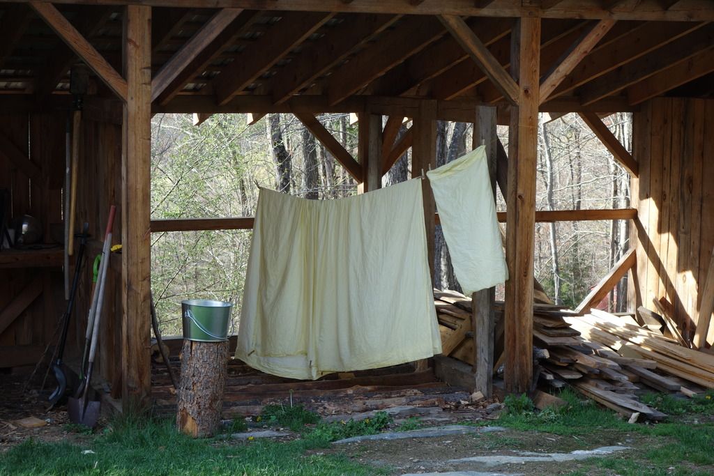 DSC05558_zpsvnx3d6o4.jpg