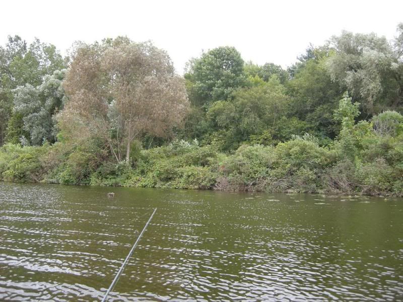 DSCN1330.jpg