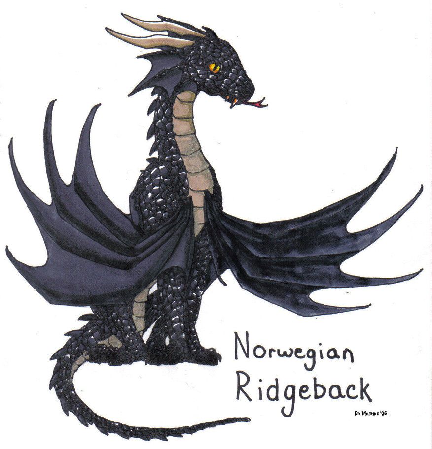 Norwegian_Ridgeback_by_Mathas_zpsm8qhdpus.jpg