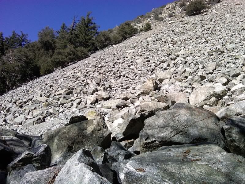 IMG00294-20110209-1303.jpg
