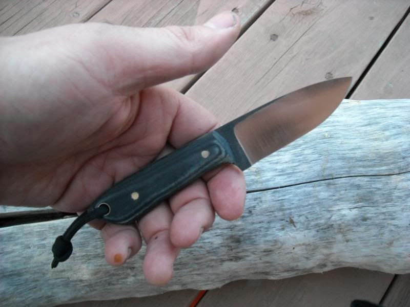 micartanecker002.jpg