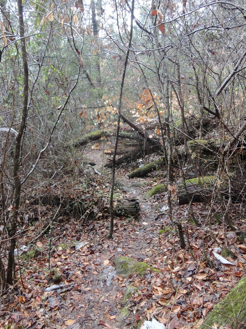 DSC08377_zpsveqajpbp.jpg