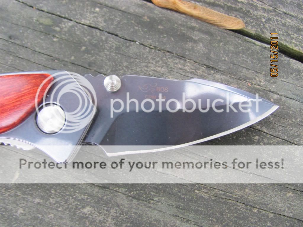 271AlphaDoradoWSpecCPM154004.jpg