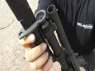 1269078713723.gif