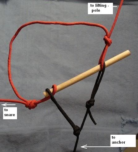 labelthisone.jpg