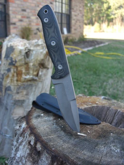 mine343.jpg