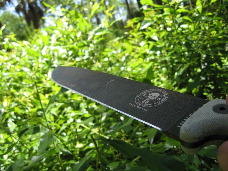Junglas014-1.jpg