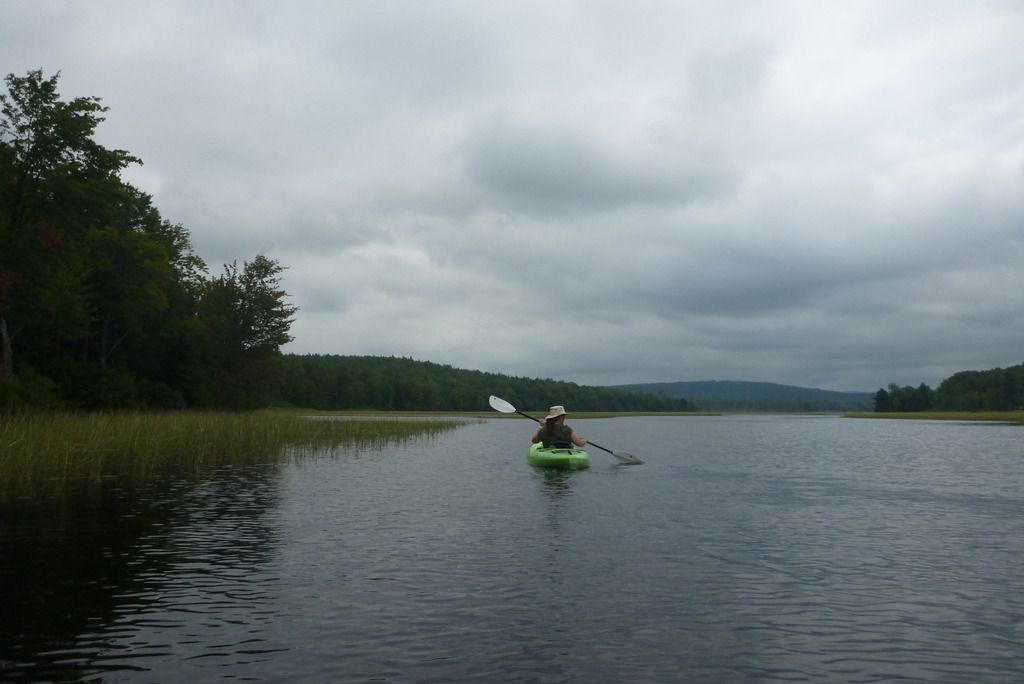 P1030229.jpg