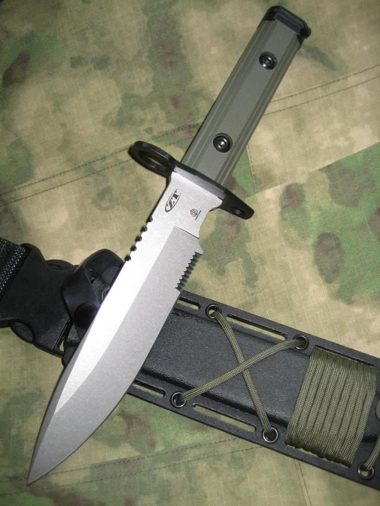 ZT11.jpg