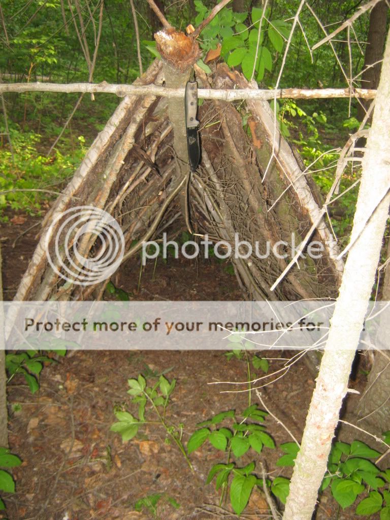 june192010031.jpg