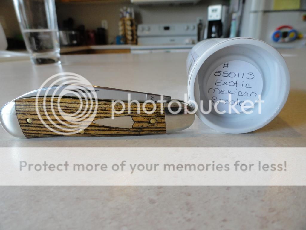 DSC02203_zps63fe306d.jpg