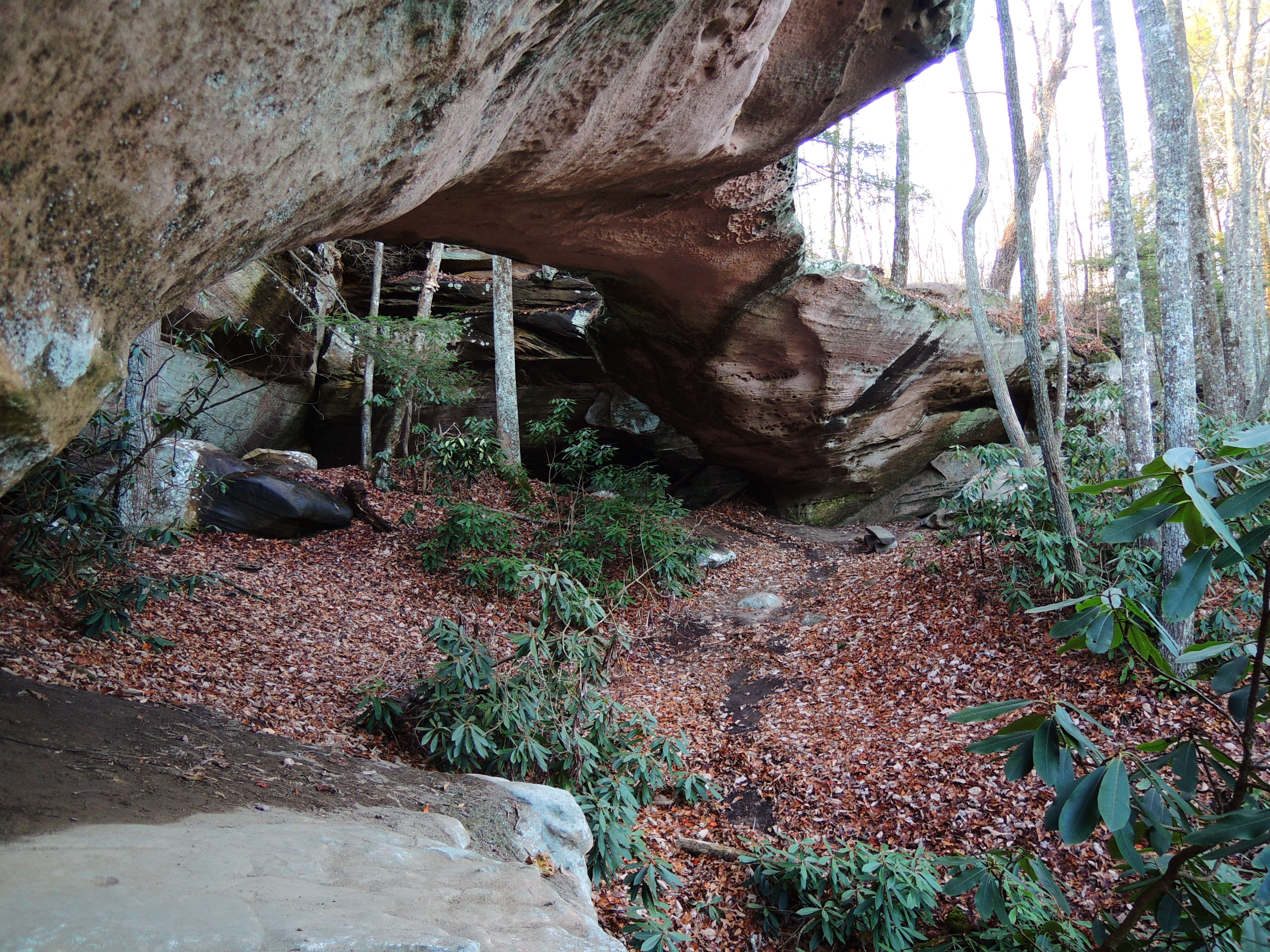dscn4793r.jpg