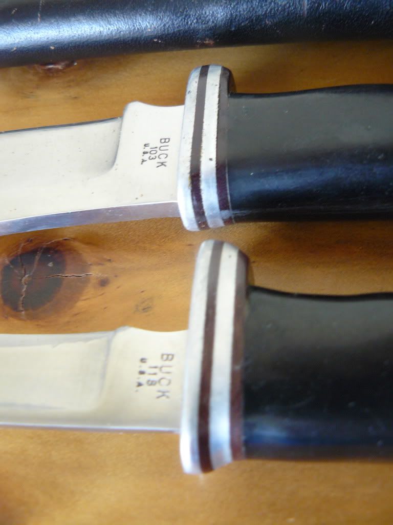 P1050100.jpg